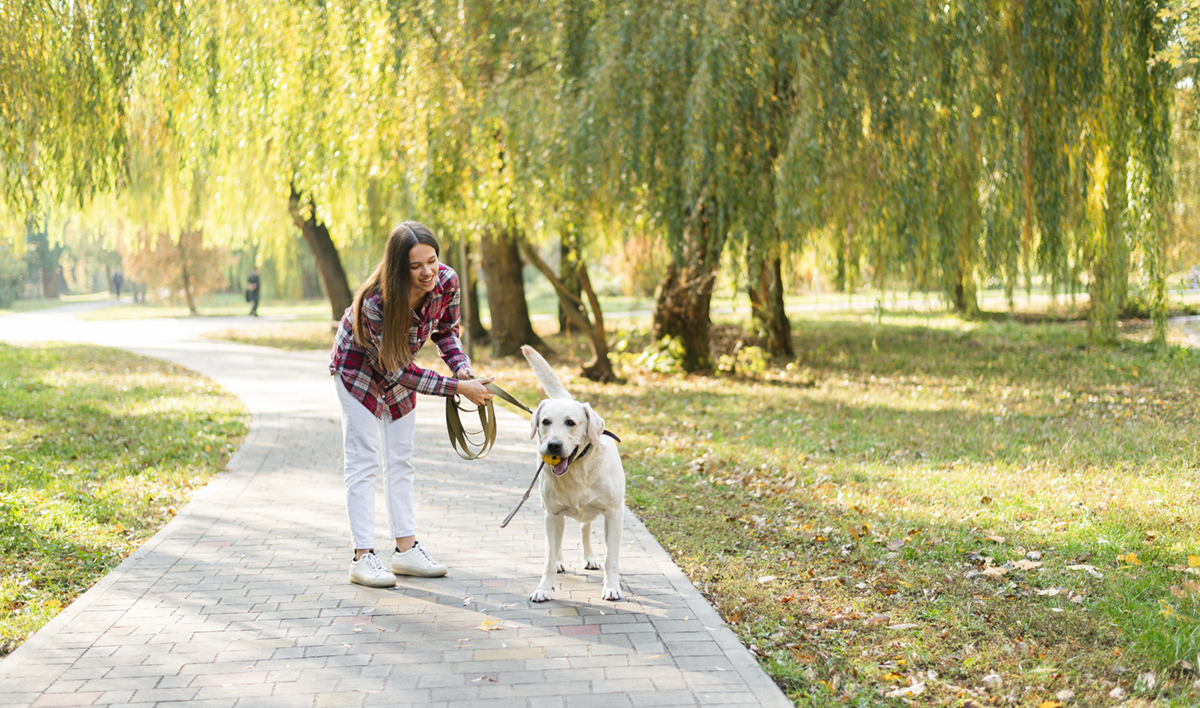 beautiful woman park with her labrador dog